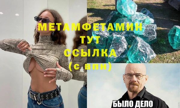 сатива Верея